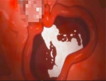 【パイズリ※アナル】ﾄﾞｷﾄﾞｷｴﾛｱﾆﾒ!!爆乳メガネメイドが生ち○こでハメられて性奴隷にされちゃう中出し調教エッチな大サービス♪♪